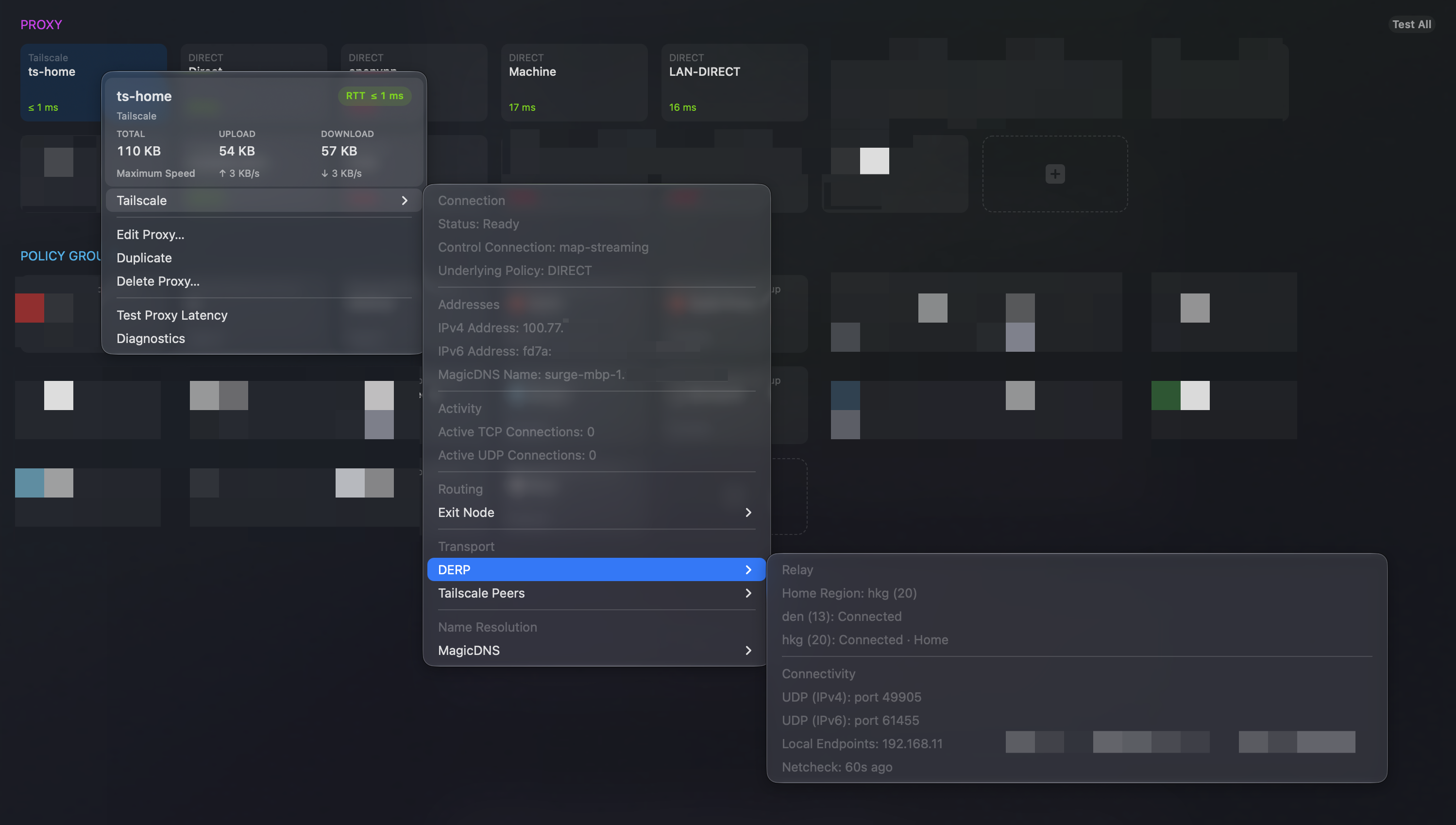 Surge's Tailscale runtime-diagnostics panel: control connection, addresses, DERP regions and Home Region, direct/relay path per peer, endpoints